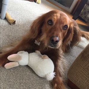 Meet your Posher, Petra